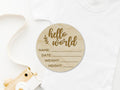 Hello World New Baby Arrival Plaque Sign