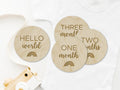 Rainbow Wooden Baby Milestones